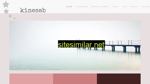 kinesab.ch alternative sites