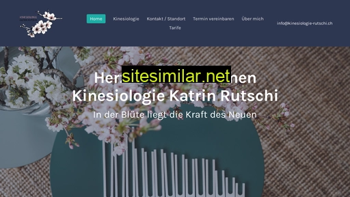 kinesiologie-rutschi.ch alternative sites