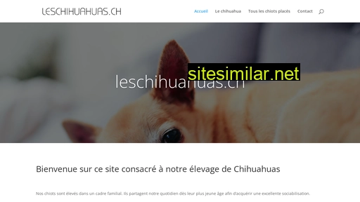 leschihuahuas.ch alternative sites