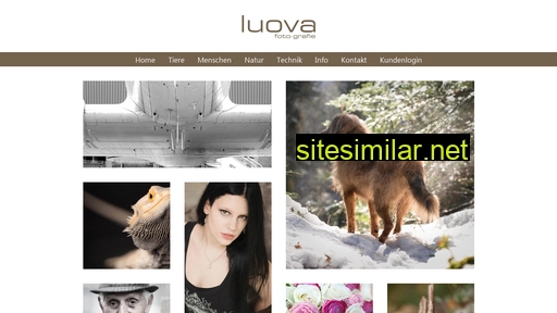 luova.ch alternative sites