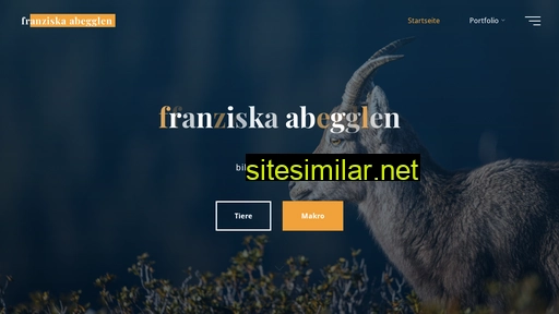 magentastack.ch alternative sites