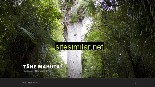 mahuta.ch alternative sites