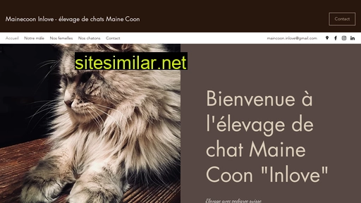 mainecoon-inlove.ch alternative sites