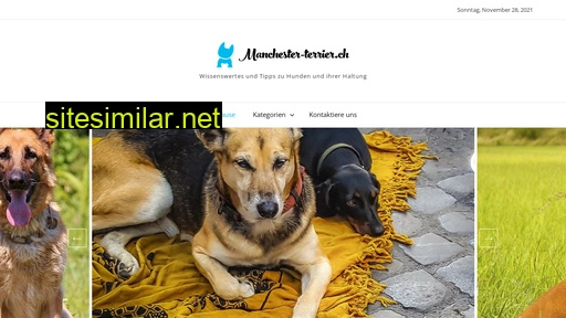 manchester-terrier.ch alternative sites