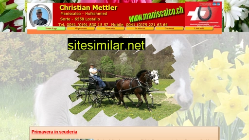 maniscalco.ch alternative sites