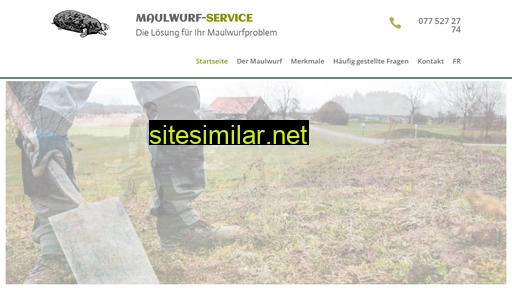 maulwurf-service.ch alternative sites