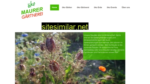 maurerblumen.ch alternative sites