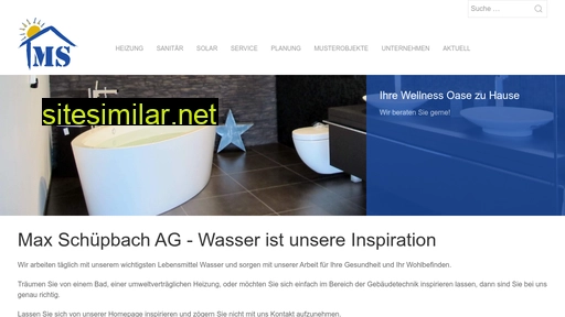 maxschuepbachag.ch alternative sites
