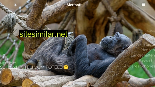 Mettsoft similar sites