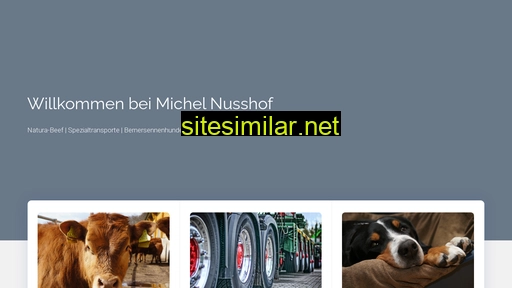 michel-nusshof.ch alternative sites
