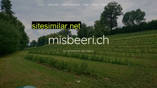 misbeeri.ch alternative sites