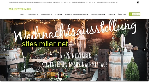 mueller-steinmaur.ch alternative sites
