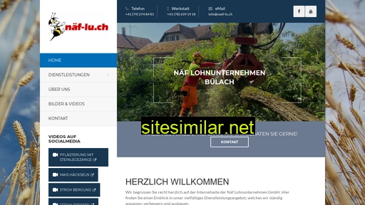 naef-lu.ch alternative sites