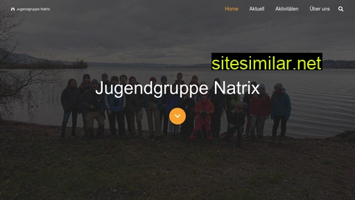 natrix.ch alternative sites
