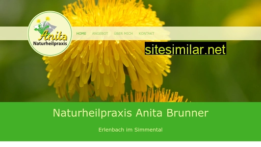 naturheilpraxis-anita.ch alternative sites