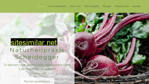 naturheilpraxis-scheidegger.ch alternative sites