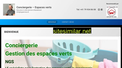 ngservice.ch alternative sites