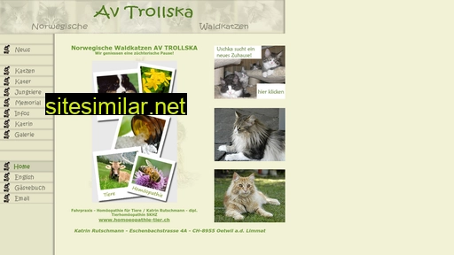 norwegischewaldkatze.ch alternative sites
