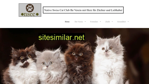 nscc.ch alternative sites