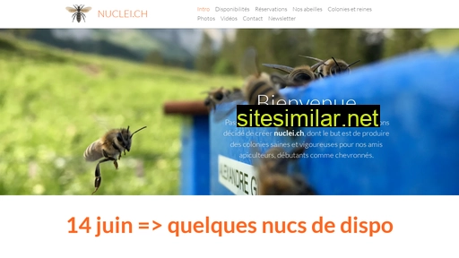 nuclei.ch alternative sites