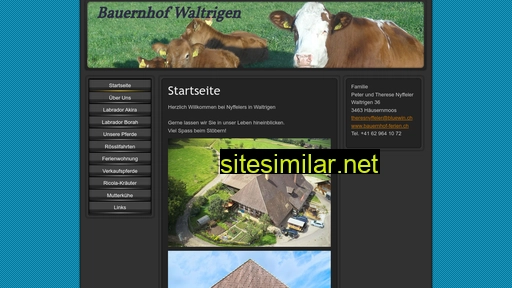 nyffelerfreiberger.ch alternative sites