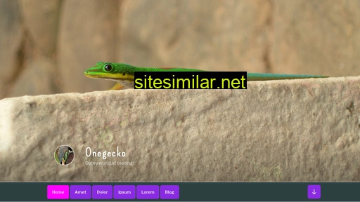 onegecko.ch alternative sites