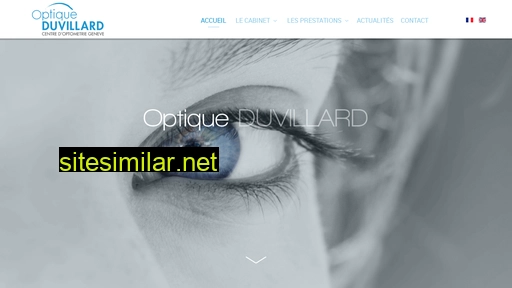 optiqueduvillard.ch alternative sites