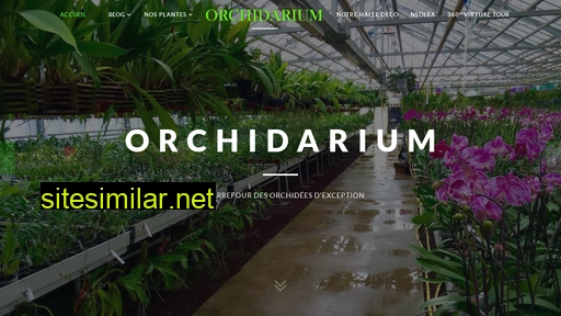 orchidarium.ch alternative sites