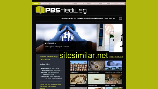 pbs-riedweg.ch alternative sites