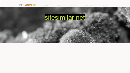 permovere.ch alternative sites