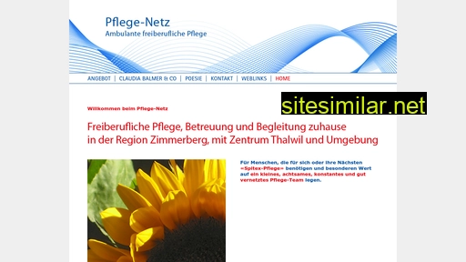 pflege-netz.ch alternative sites