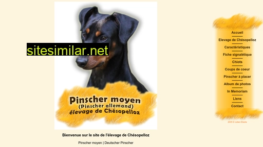 pinscher-moyen.ch alternative sites