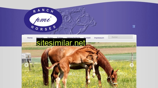 pmi-ranchhorses.ch alternative sites