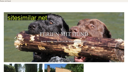provenceferienmithund.ch alternative sites