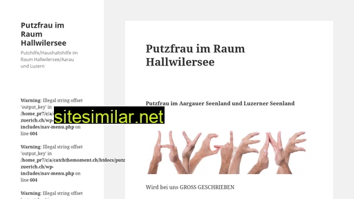 putzfrau-zuerich.ch alternative sites