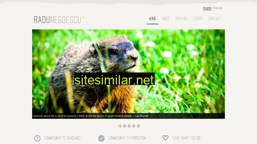 radunegoescu.ch alternative sites