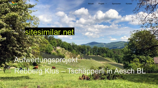 rebberg-aesch.ch alternative sites