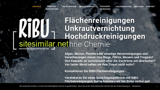 ribu-flaechenreinigungen.ch alternative sites