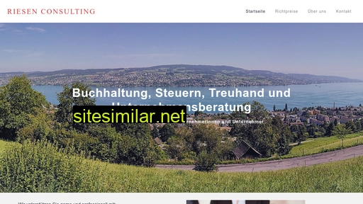 riesen-consulting.ch alternative sites