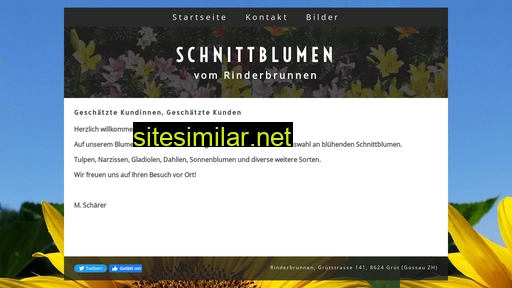 rinderbrunnen.ch alternative sites