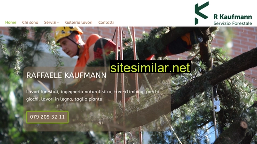 r-kaufmann.ch alternative sites
