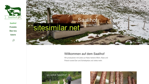 saalihof.ch alternative sites