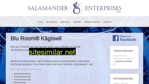 Salamander-enterprises similar sites