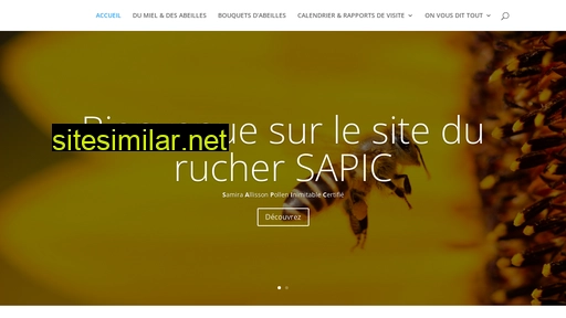 sapic.ch alternative sites
