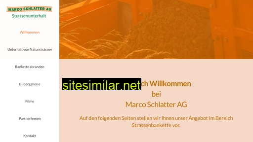 schlatter-strassen.ch alternative sites