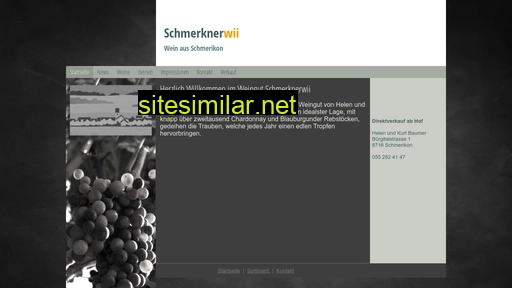 schmerknerwii.ch alternative sites