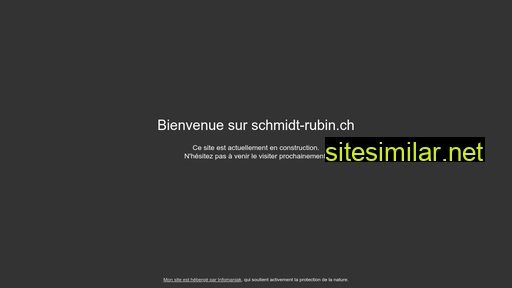 schmidt-rubin.ch alternative sites