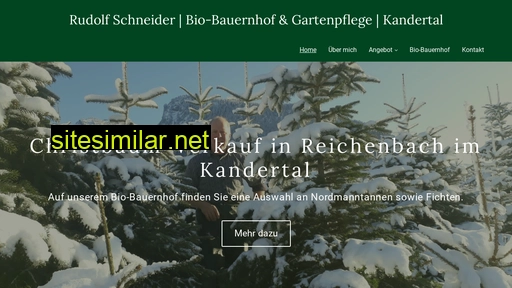 schneider-reichenbach.ch alternative sites