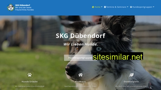 skgduebendorf.ch alternative sites