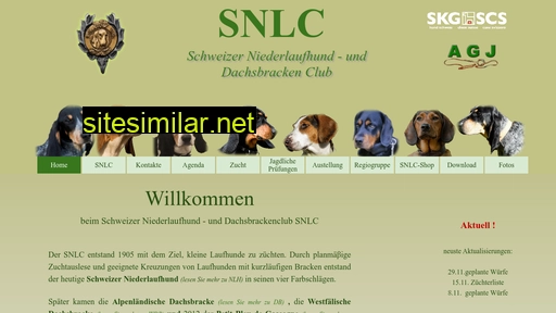 snlc.ch alternative sites